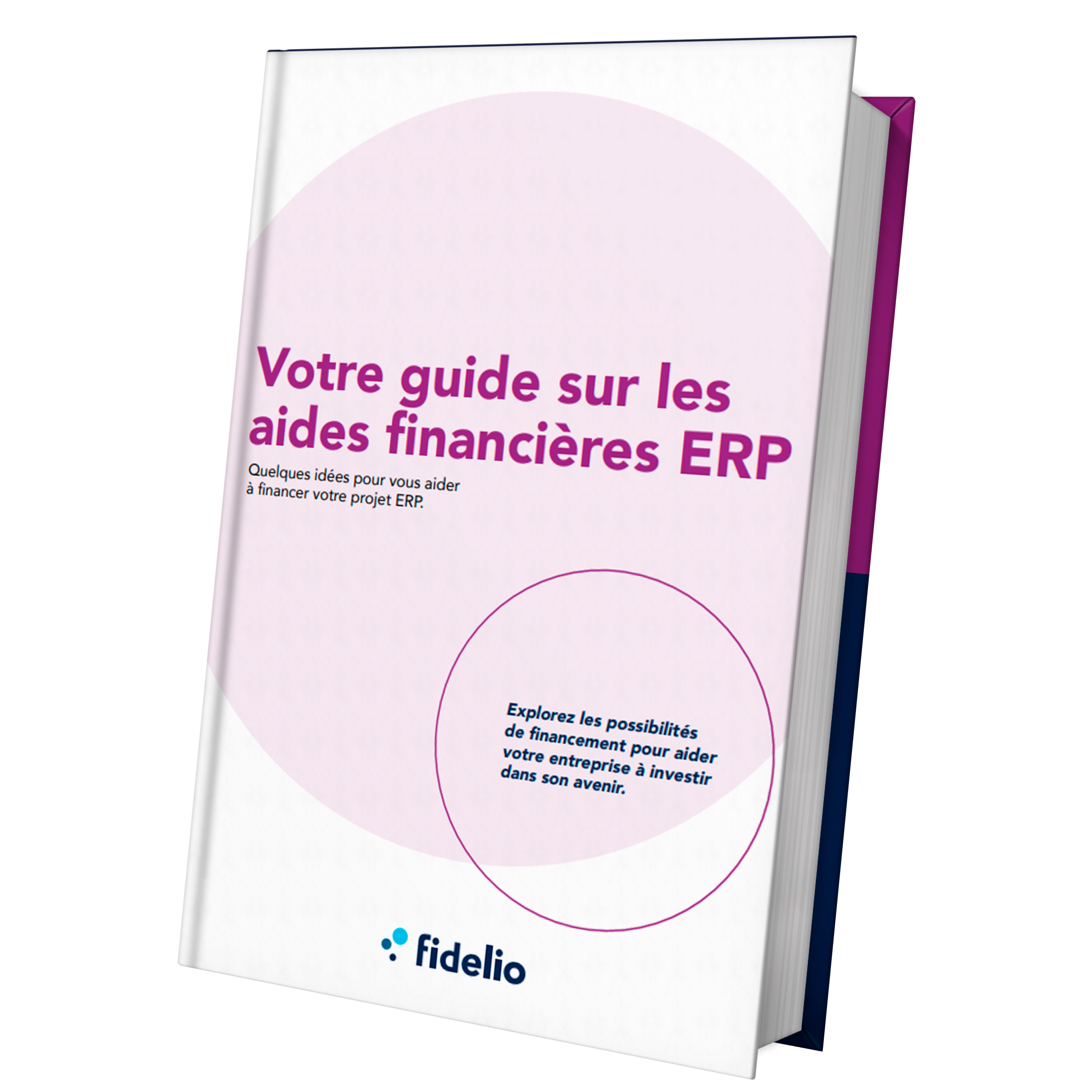 guide des subventions ERP